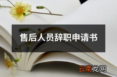 售后人员辞职申请书 客服辞职书