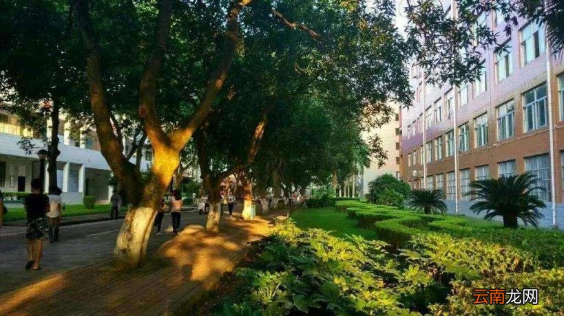 南宁大专学校排名榜 广西南宁最好的高职院校有哪些
