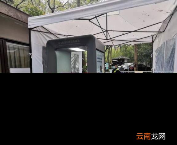 现在能去吗 太子湾郁金香 杭州太子湾郁金香什么时候开