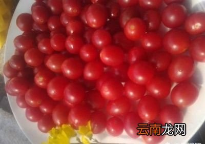 女人吃圣女果的好处
