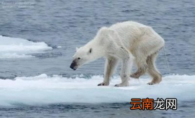 引起高温的原因