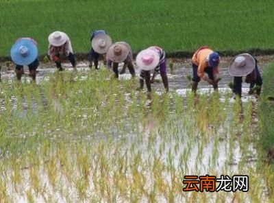 引起高温的原因