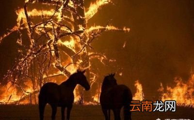 今年高温为什么来得这么早