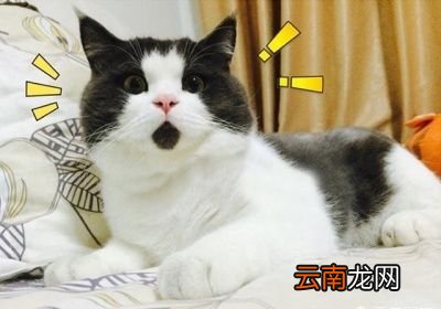 化妆品的保质期是多久