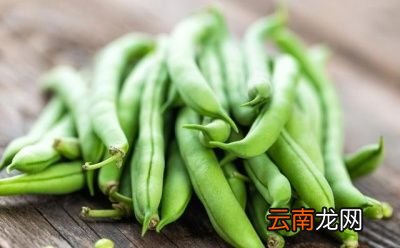 痛风患者能不能吃豆角呢有何依据