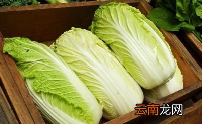痛风患者能不能吃豆角呢有何依据