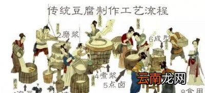 痛风患者为什么“豆”色变
