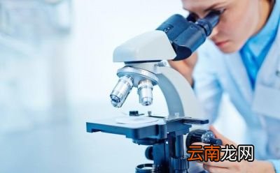 痛风患者为什么“豆”色变