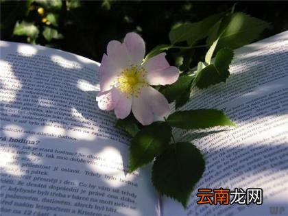 微信如何发朋友圈 微信朋友圈吸引人语句