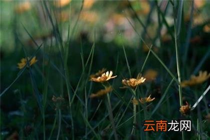 微信如何发朋友圈 微信朋友圈吸引人语句