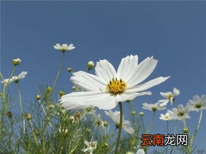 微信如何发朋友圈 微信朋友圈吸引人语句