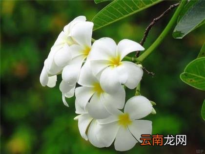 微信如何发朋友圈 微信朋友圈吸引人语句