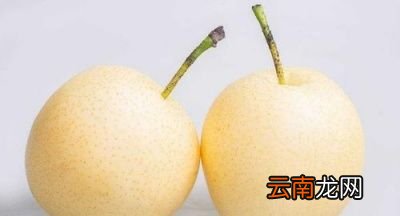 痛风病人核桃花生黄豆能吃吗