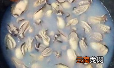 炒菜时喜欢放蚝油经常吃蚝油好吗