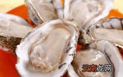 经常吃蚝油好吗