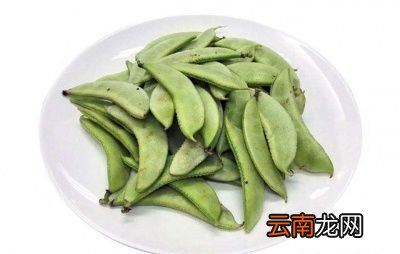 扁豆的营养功效