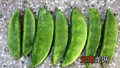 扁豆的营养功效