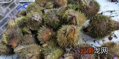 芡实适合什么体质的人群食用