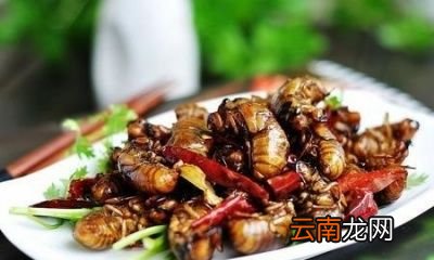 农村常见的蝉蜕有什么功效和作用
