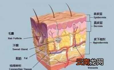 抽脂减肥是一种怎样的体验