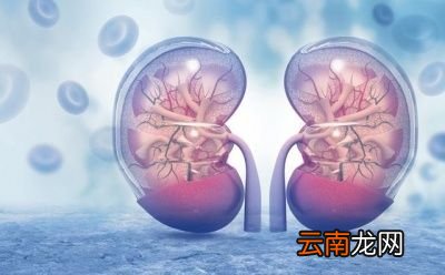 肾亏的人绝对不能吃什么