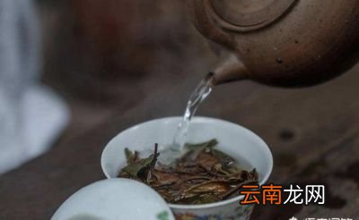 哪些茶是不需要洗茶的呢
