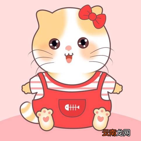 微信历史头像如何找回 怎么找回两次前微信头像