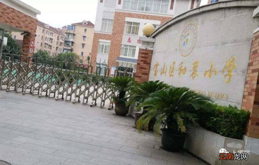 上海各区小学梯队排名前十一览表 宝山区小学2022最新排名