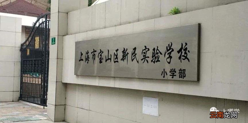 上海各区小学梯队排名前十一览表 宝山区小学2022最新排名