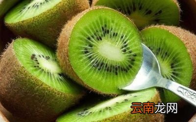 天天大便干燥吃什么能快速排便