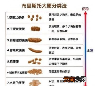 便秘的患者好几天没有大便大便都去哪里了