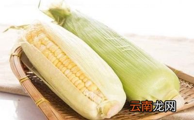 什么是水果玉米