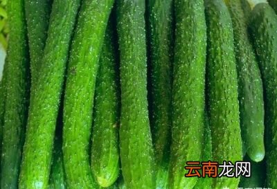 女生体寒怎么办