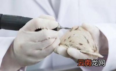 燕窝卖这么贵就是因为功效好吗