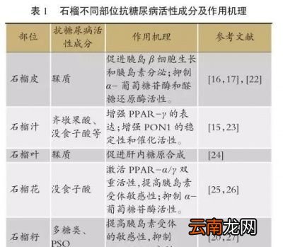 再说石榴对于糖友的好处