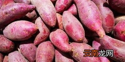 吃红薯对身体有哪些作用