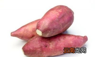 吃红薯对身体有哪些作用