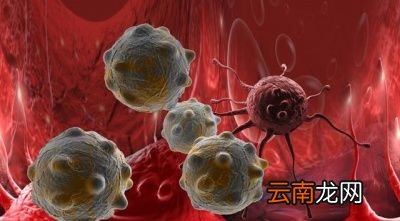 羊肉和鱼癌症患者真的不能吃吗