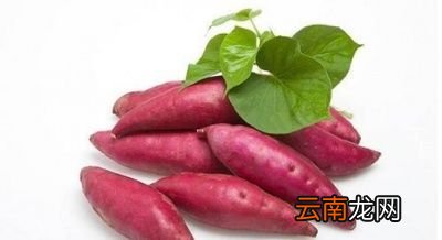 吃红薯对身体有哪些作用