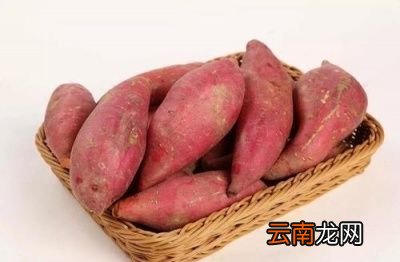 吃红薯对身体有哪些作用