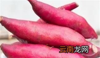 吃红薯对身体有哪些作用
