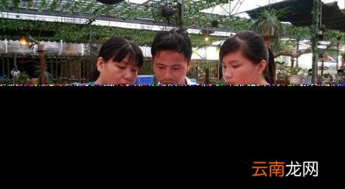 河南单招最新时间 河南二批录取结果查询时间