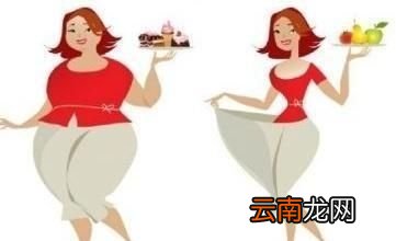 你是如何肥胖的