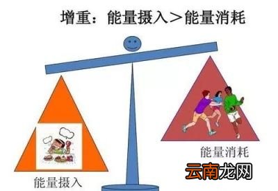 少吃多动为何不一定瘦