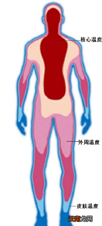 人类的体温为何偏偏是37摄氏度