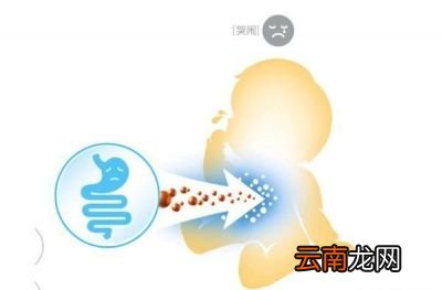 婴儿肠胃不好怎么调理