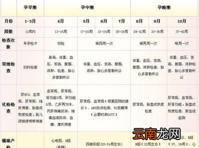 怎样安全的度过孕早期