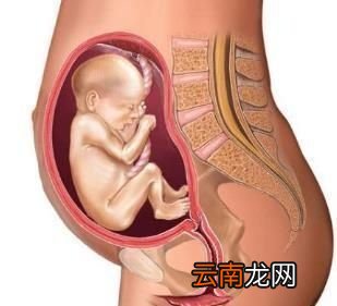 怀孕前三个月的注意事项