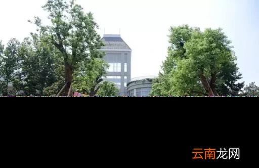 南京市公办幼儿园排名一览表 2022年南京各区最有名的幼儿园