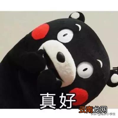 南京市公办幼儿园排名一览表 2022年南京各区最有名的幼儿园